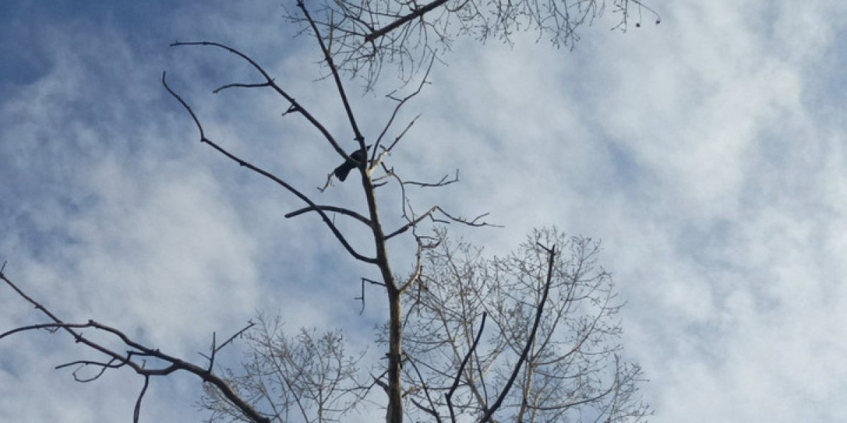 33d701348ba4465c9c766a36f6e7d040