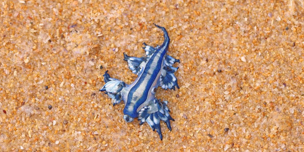 a2cf8ded77e058b22f5f7da70466a6d1