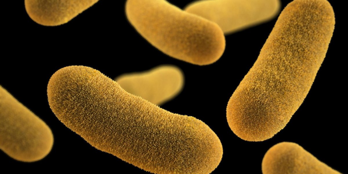 c002902ca3a17287f748ef8f0e513dea