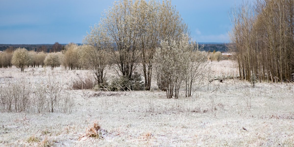 c57e8d86f27a2777ba80e3bdaa7468e7